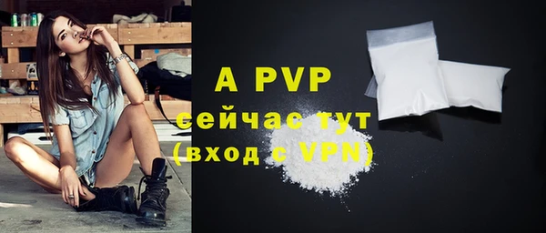 шишки Богданович