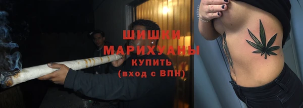 шишки Богданович