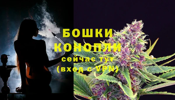 шишки Богданович