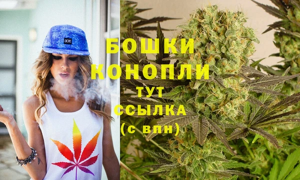 шишки Богданович