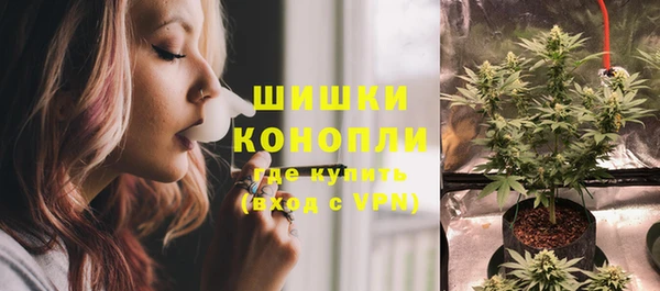 шишки Богданович
