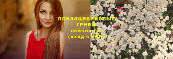шишки Богданович
