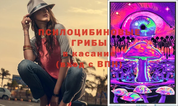 спайс Богородицк