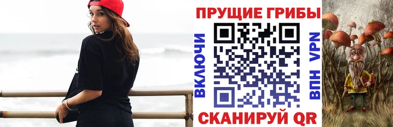 kraken маркетплейс  где продают   Волжск  Галлюциногенные грибы MAGIC MUSHROOMS 
