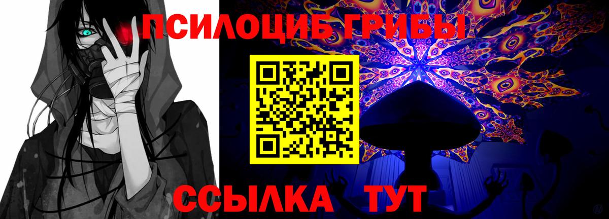 Галлюциногенные грибы Magic Shrooms Волжск